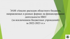 На заседании бюджетно-финансового комитета Законодательной Думы Томской области заслушана информация КСП Томской области по оптимизации расходов на содержание некоммерческих организаций