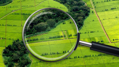 КСП Томской области приступила к анализу влияния кадастровой оценки земель на доходы бюджета региона