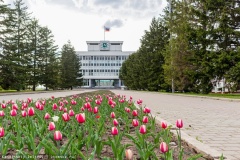 Представители Контрольно-счетной палаты приняли участие в работе комитетов Законодательной Думы