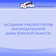Светлана Зорина приняла участие в заседании рабочей группы Законодательной Думы Томской области