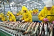 Контрольно-счетной палатой Томской области  завершена проверка использования областных средств направленных на развитие рыбохозяйственного комплекса 