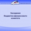 Екатерина Василевская - на заседании бюджетно-финансового комитета Законодательной Думы Томской области